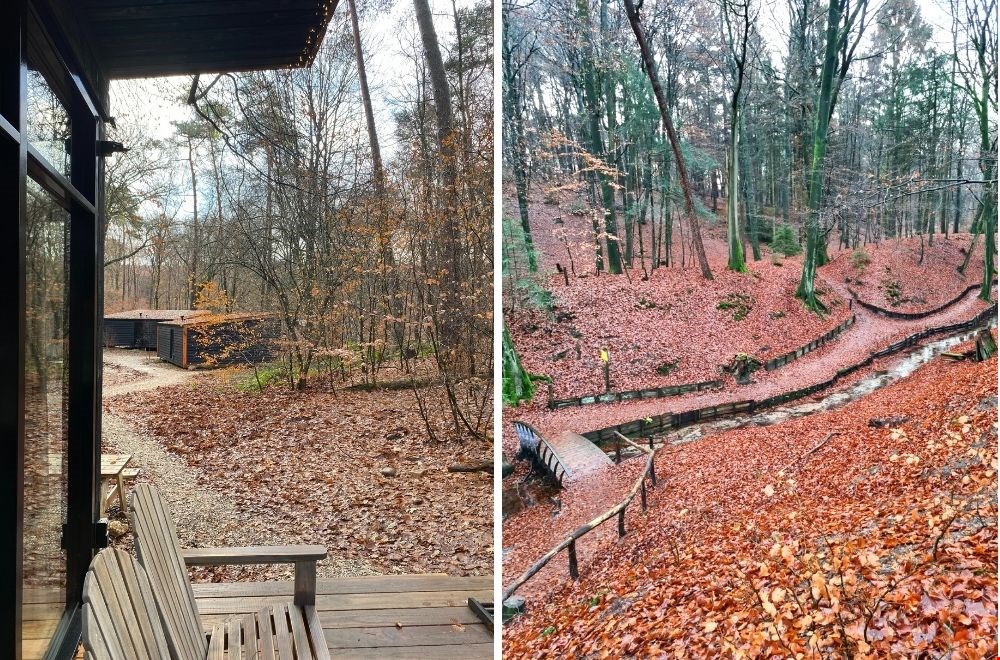 Zó in de bossen Zó in de bossen